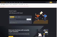Binance Visa