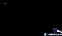 9105636c2dd77209f389833876fa6a46.jpg