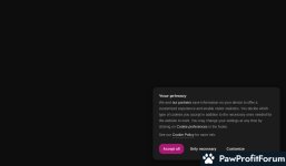 521c9aa57a52234da930b7097e9a4ad2.jpg