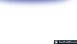 b5e87d2606b0cb292583f474926403b6.jpg