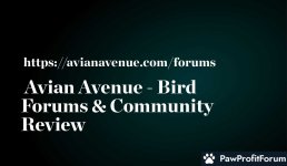 Avian Avenue - Bird Forums & Community Review