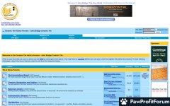 Ceramic Tile Advice Forums - John Bridge Tile Forum Review