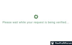 Behind The Voice Actors (BTVA) Forums Review