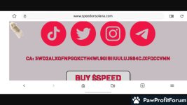 1f0cbdfefcdcad9facc489fa37246767.jpg