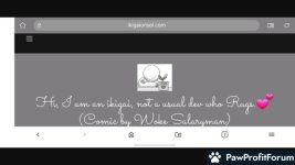 e25873d976f338197a4cf47cf54d762c.jpg