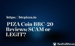 PIZA Coin BRC-20 Reviews: SCAM or LEGIT?