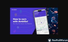 Ambios Network