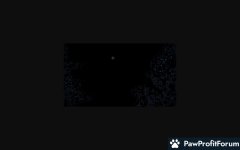 3cb9d9359630066049a7451b7c5214a7.jpg
