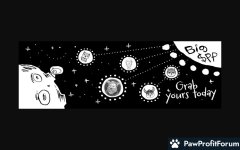 e44ee3984ce9d177a2ad4f244e5f55d1.jpg