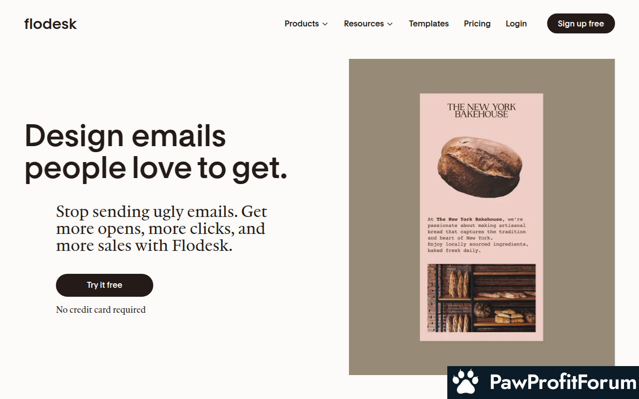 Flodesk Review