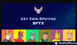 Cat Coin Sphynx Airdrop Alert