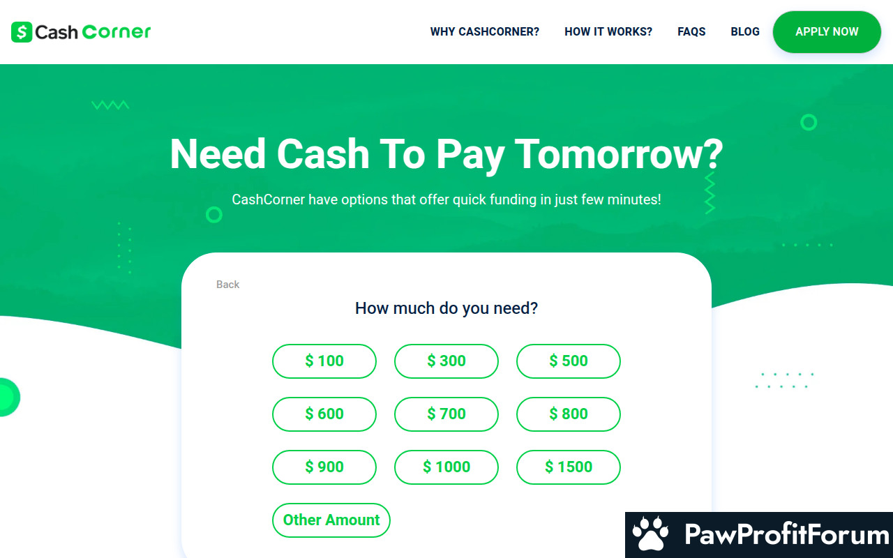 cashcorner.ca Reviews: SCAM or LEGIT?