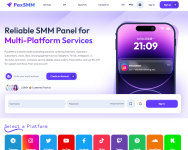 PaxSMM – Multi-Platform SMM Panel for Agencies and Resellers