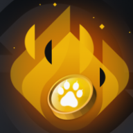 Burn PPF Points